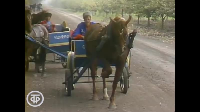 А ну ка, девушки! колхоз "россия", ст новомышастовская (1985)