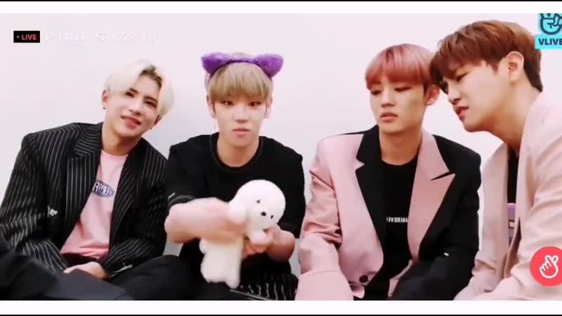 Chan porn video – See chan and donghuns reaction 에이스 ace 준 동훈 와우 김병관 찬 jun donghun wow kimbyeongkwan chan