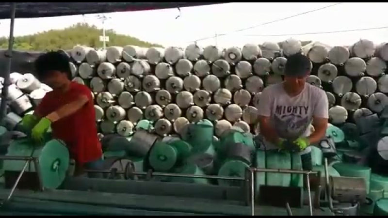Работа в южной корее, морская капуста, подготоа к новому сезону