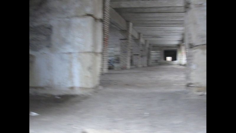 Окружённое чоповцами песто в нижнем парке!