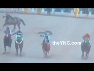 Жокей умирает на скачках (jockey dies at races)