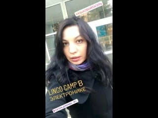 О сменах lingo camp video