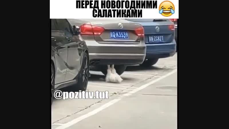 Качаю пресс