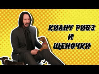 Киану ривз и щеночки