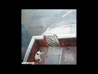 Само спокойствие