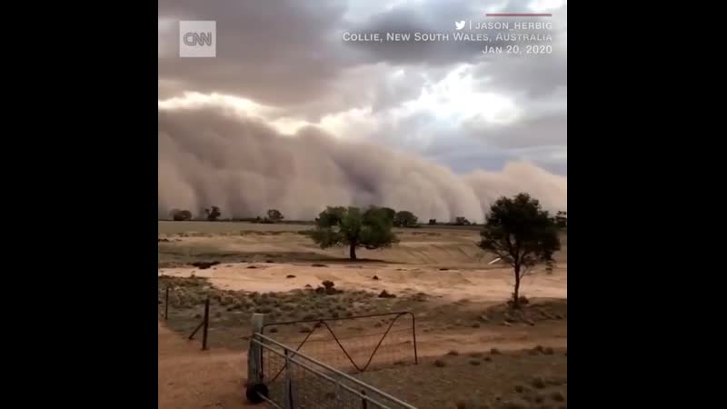 На австралию обрушилась песчаная буря с порывами ветра до 100 км/ч