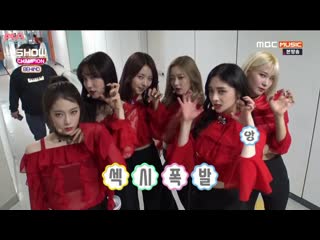 [рус саб] звук по громче! мы pristin! black widow @ showchampion behind