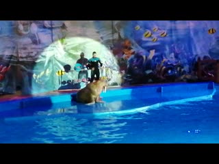 Vid 20200716 202526 mp4