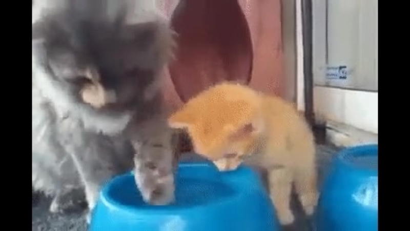 Мама учит малыша пить водичку