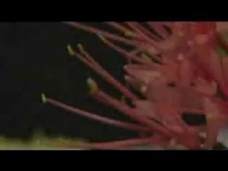 Hotel costes 11 by stephane pompougnac