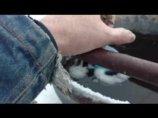 Мужчина спас примерзшего воробья