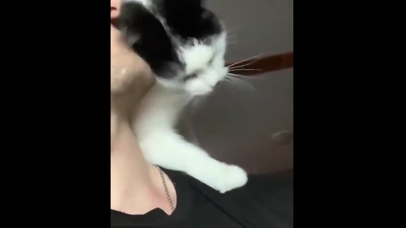 Imaginе соming hоmе tо this aftеr a lоng day at wоrk