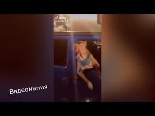 Крутость пса зашкаливает