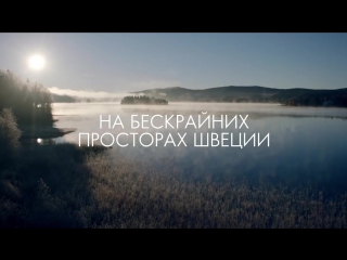 Обновленная серия optimals