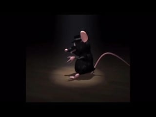 Rat dancing meme tik tok 6ix9ine gummo (720p) mp4