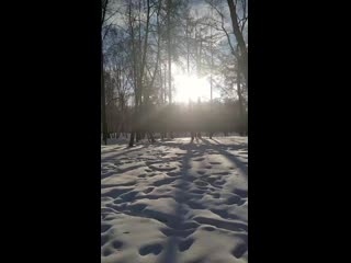 Vid 20210303 091712 mp4