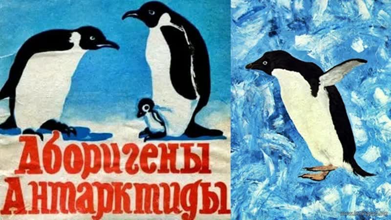 Аборигены антарктиды (1981) центрнаучфильм