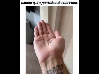 Жми подписаться ️ @radi smeha live ️ ️ @radi smeha live ️ ️ @radi smeha live ️ ️ ️ ️ ️ ️ mp4