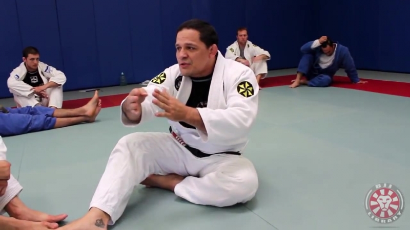 Setting up butterfly guard by saulo ribeiro| strong division