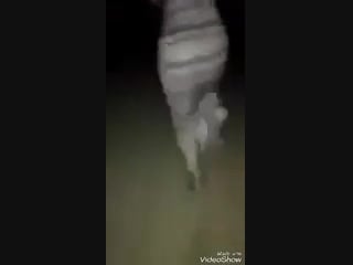 Погоди это я, дай присунуть!