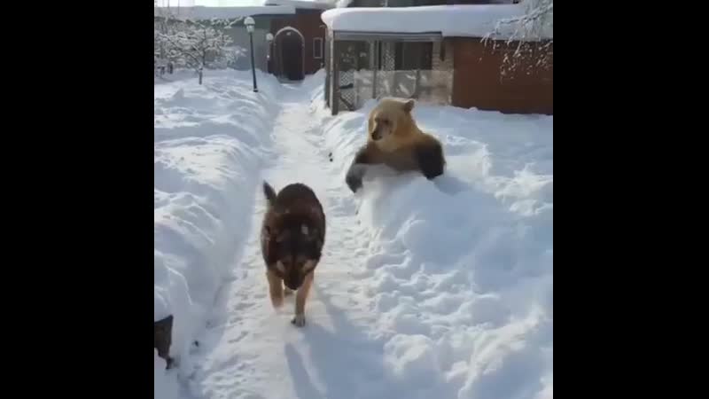 Мишаня балуется