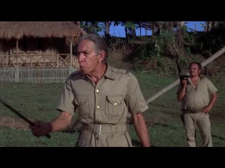 Большая клетка для птиц +18 эротика