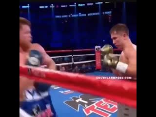 Ggg canelo (сауль альварес в защите)