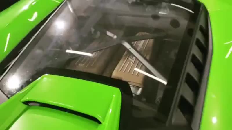 Ламба зеленая #нашалисарулит #лисарулит #lisarulit