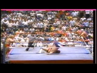 Wwc a super night of tag team action