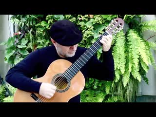 Fur elise beethoven (michael lucarelli,classical guitar)