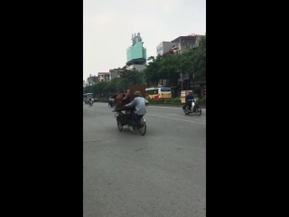 Грузоперевозки (vhs video)