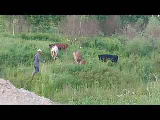 Video 20200626 204442 mp4