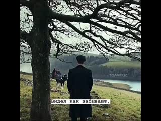 Tommy 1c 20200811 3 mp4