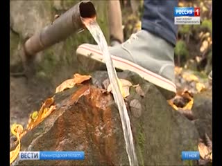 Родниковая вода в ленинградской области опаснее, чем водопроводная