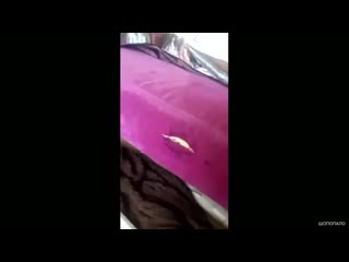 Выебал тахту