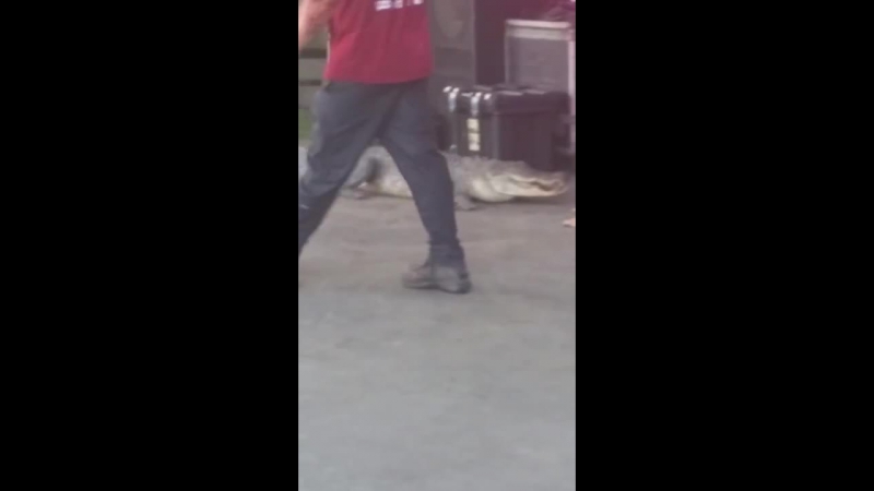 ✔ особое мнение дрессировщик чудом вырвался из пасти аллигатора в техасе