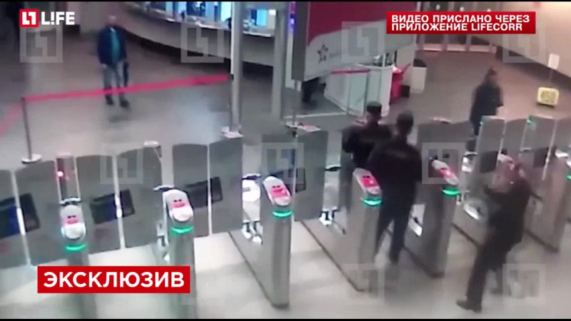 Мигрант пытался "зайцем" улететь из внуково, повторив успех девочки шпионки