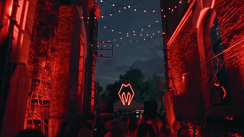 Meduza atlantic sea nettle