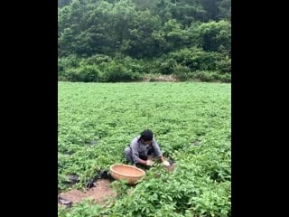 15ya baby 20200904 0002 mp4