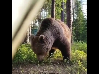 Просыпайтесь вовремя