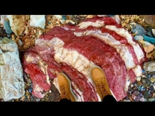 Zum verwechseln ähnlich