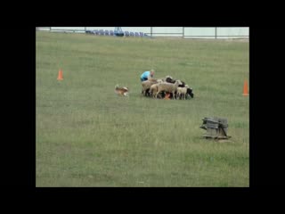 Марти соренования iht ts 1 нафани 14 06 19 mp4