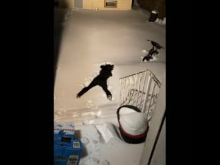 Красивый отпечаток