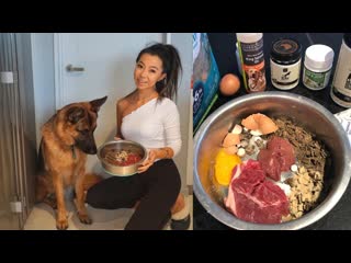 What i feed my german shepherd raw supplements