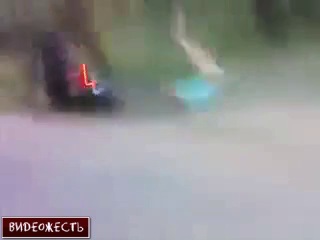 Считай porn video – Ума нет считай калека © видеожесть