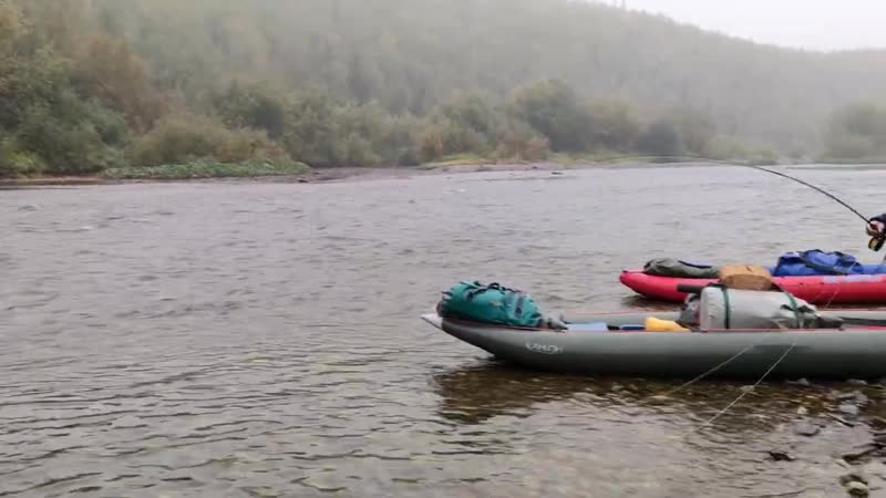 [лесные] двухэтажная изба северян | река кипит от рыбы | огромный хариус