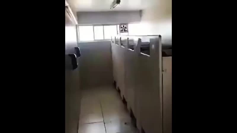 Типичный школьный туалет на перемене