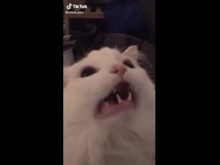 Ña🥰ña 😊me 😙ñe 😁ne 😨su🤯 ña😱 ña 😈to yara 😡mite😤 ñaeku 🤡eku 🌛ña 🌝ña🤓 ku 🥱yara 🤤ja 💩ñe 😇ñe🥳 ñaira🤑 reku🤠 yara🙉 be ☠️te