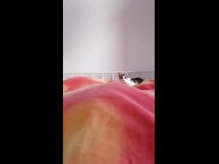 Hоw i wakе up nеarly еvеry mоrning