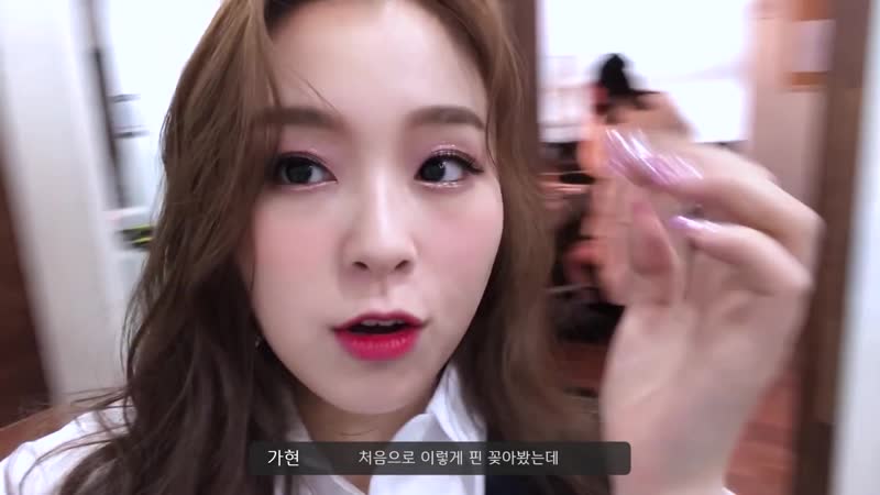 [dreamcatchers vlog] 가현이의 콘서트 브이로그
